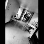 Bienvenue dans les coulisses de la folie