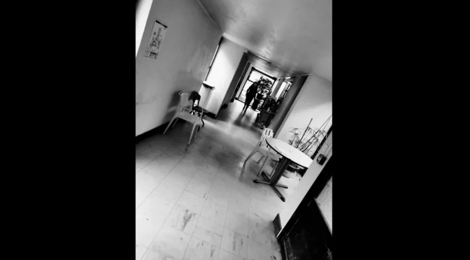 Bienvenue dans les coulisses de la folie